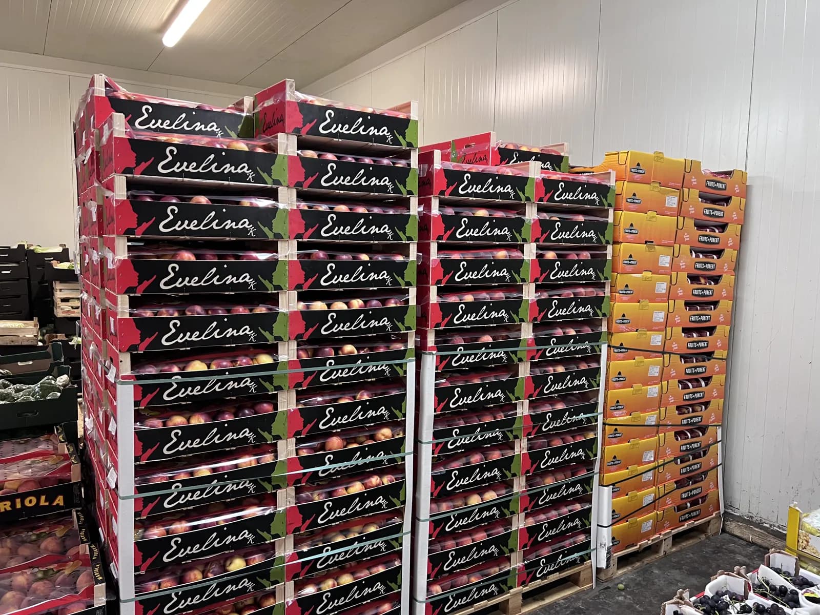 Palety nektarynek Evelina i płaskich brzoskwiń Fruits de Ponent w chłodni hurtowni