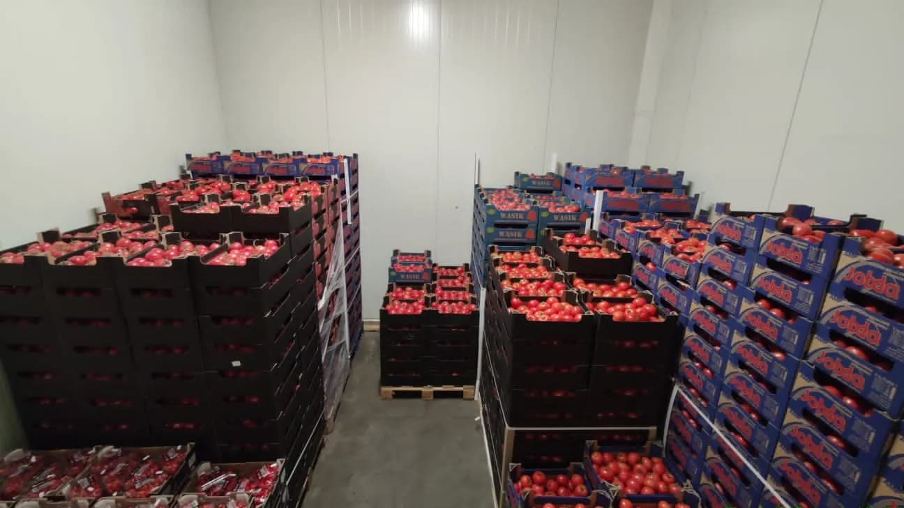 Skrzynki pomidorów malinowych od polskich producentów w chłodni przed porannymi dostawami