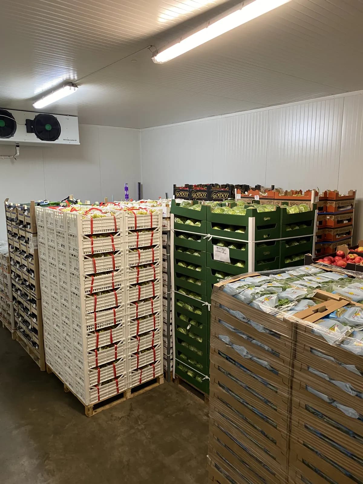 Chłodnia z paletami sałaty lodowej, winogron i jabłek pod dostawy dla gastronomii Trójmiasto
