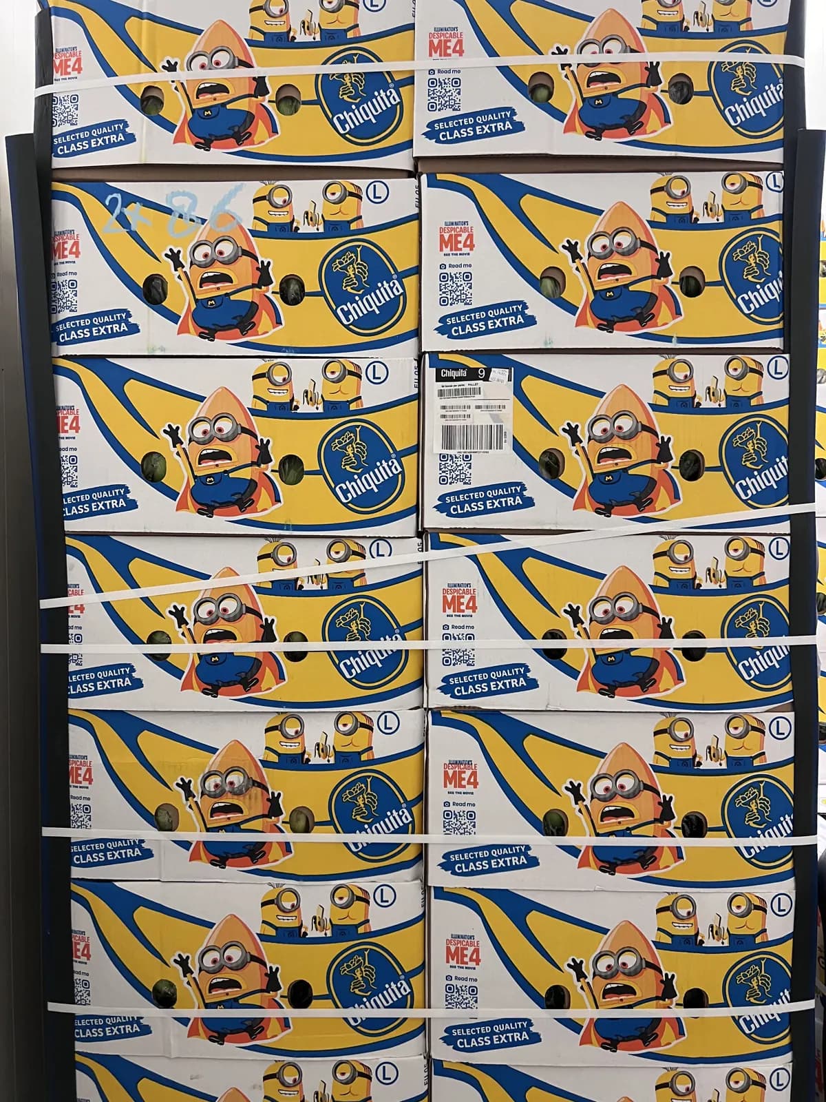 Paleta kartonów bananów Chiquita klasy Extra spięta taśmami w magazynie