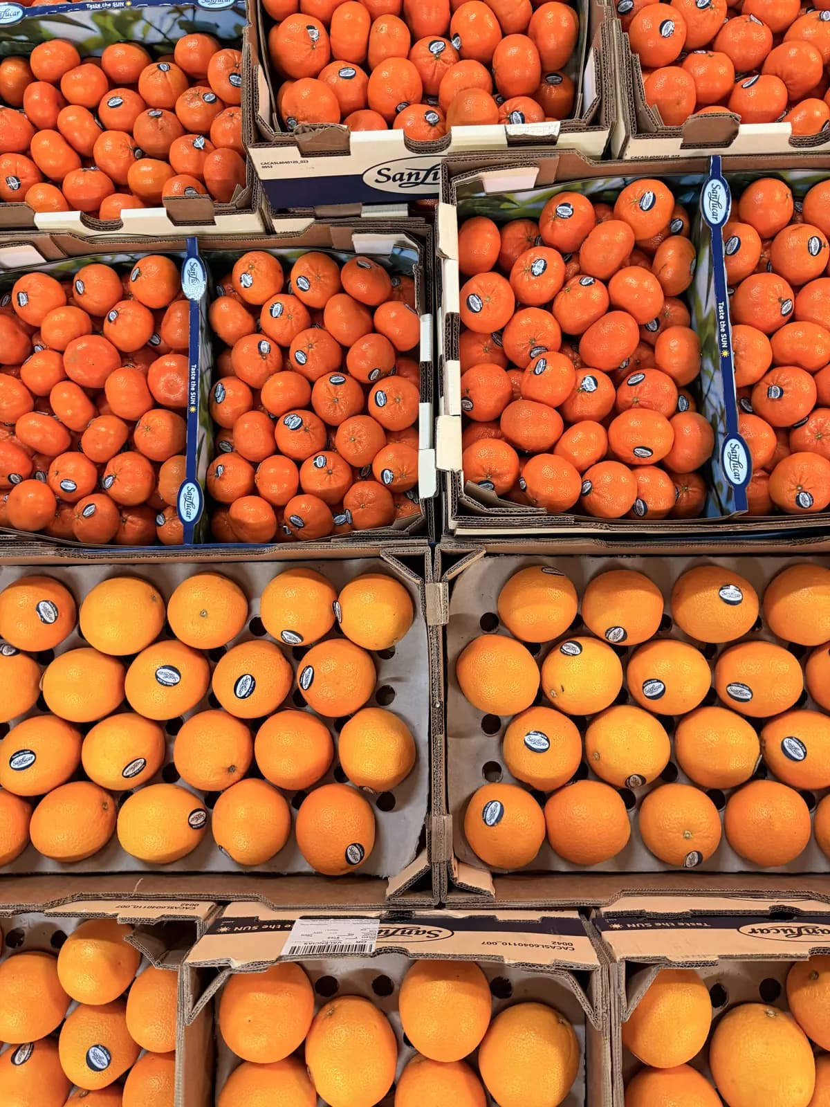 Klementynki i pomarańcze SanLucar w kartonach producenta ułożone na palecie