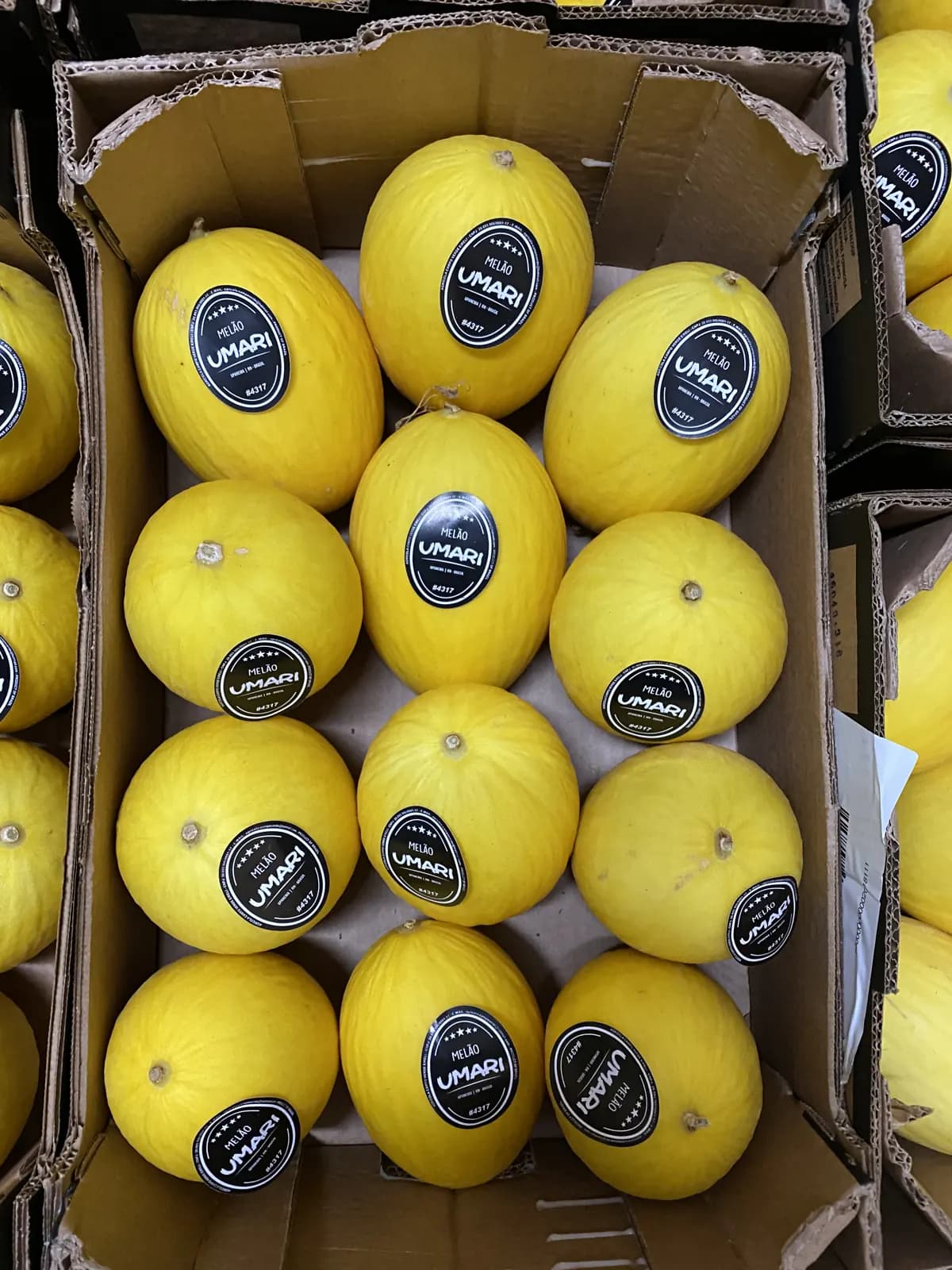 Żółte melony Umari z Brazylii ułożone warstwowo w kartonowych skrzynkach
